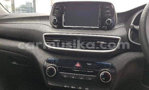 Tenga Tsaru Hyundai Tucson Sirivha Mota in Beitbridge in Matabeleland South Tenga Tsaru Hyundai Tucson Sirivha Mota in Beitbridge in Matabeleland South