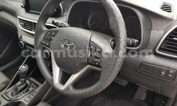 Tenga Tsaru Hyundai Tucson Sirivha Mota in Beitbridge in Matabeleland South Tenga Tsaru Hyundai Tucson Sirivha Mota in Beitbridge in Matabeleland South