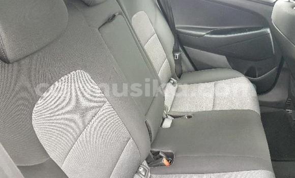 Tenga Tsaru Hyundai Tucson Sirivha Mota in Beitbridge in Matabeleland South Tenga Tsaru Hyundai Tucson Sirivha Mota in Beitbridge in Matabeleland South