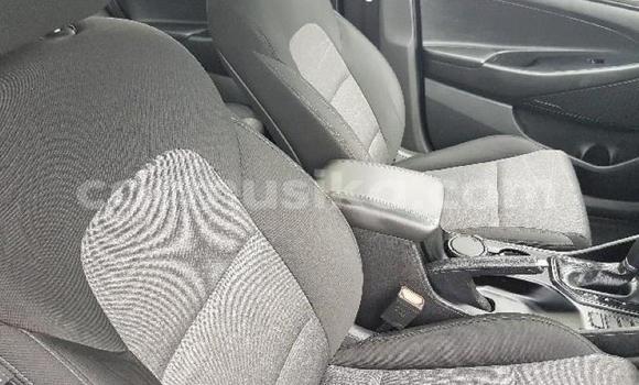 Tenga Tsaru Hyundai Tucson Sirivha Mota in Beitbridge in Matabeleland South Tenga Tsaru Hyundai Tucson Sirivha Mota in Beitbridge in Matabeleland South