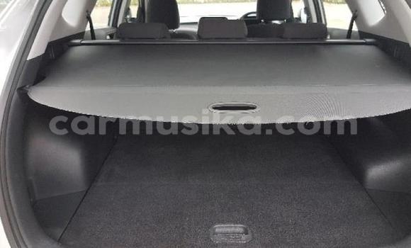 Tenga Tsaru Hyundai Tucson Sirivha Mota in Beitbridge in Matabeleland South Tenga Tsaru Hyundai Tucson Sirivha Mota in Beitbridge in Matabeleland South