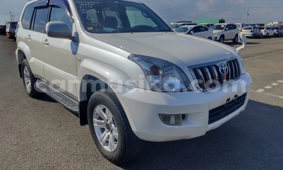Buy Used Toyota Prado White Car in Beitbridge in Matabeleland South