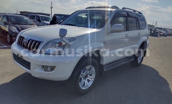 Buy Used Toyota Prado White Car in Beitbridge in Matabeleland South Buy Used Toyota Prado White Car in Beitbridge in Matabeleland South