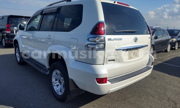 Buy Used Toyota Prado White Car in Beitbridge in Matabeleland South Buy Used Toyota Prado White Car in Beitbridge in Matabeleland South