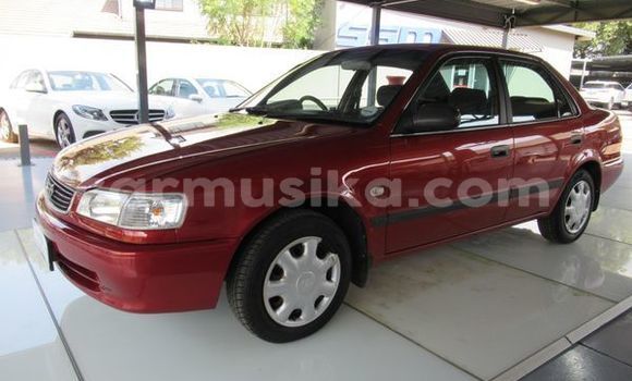 Buy Used Toyota Corolla Red Car in Beitbridge in Matabeleland South Buy Used Toyota Corolla Red Car in Beitbridge in Matabeleland South