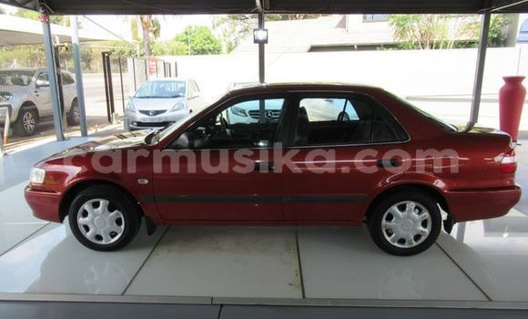 Buy Used Toyota Corolla Red Car in Beitbridge in Matabeleland South Buy Used Toyota Corolla Red Car in Beitbridge in Matabeleland South
