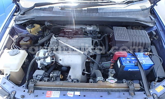 Buy Used Toyota Ipsum Other Car in Beitbridge in Matabeleland South Buy Used Toyota Ipsum Other Car in Beitbridge in Matabeleland South