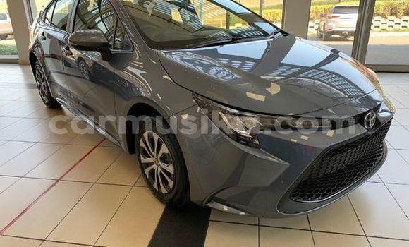 Tenga Tsaru Toyota Corolla Tsvuku Mota in Beitbridge in Matabeleland South