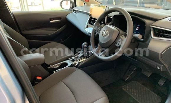 Buy Used Toyota Corolla Red Car in Beitbridge in Matabeleland South Buy Used Toyota Corolla Red Car in Beitbridge in Matabeleland South