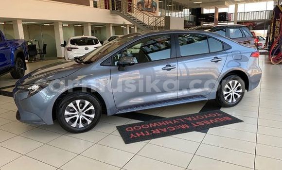 Buy Used Toyota Corolla Red Car in Beitbridge in Matabeleland South Buy Used Toyota Corolla Red Car in Beitbridge in Matabeleland South