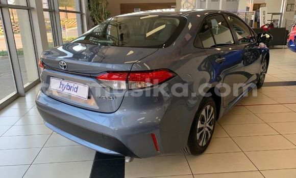 Buy Used Toyota Corolla Red Car in Beitbridge in Matabeleland South Buy Used Toyota Corolla Red Car in Beitbridge in Matabeleland South