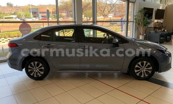 Buy Used Toyota Corolla Red Car in Beitbridge in Matabeleland South Buy Used Toyota Corolla Red Car in Beitbridge in Matabeleland South