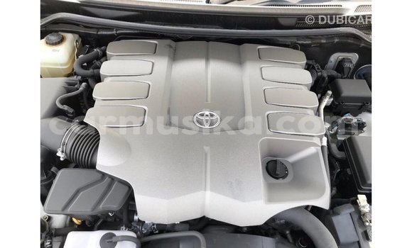 Acheter Import Voiture Toyota Land Cruiser Blanc à Import - Dubai, Harare Acheter Import Voiture Toyota Land Cruiser Blanc à Import - Dubai, Harare