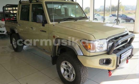 Acheter Occasion Voiture Toyota Land Cruiser Marron à Beitbridge, Matabeleland South Acheter Occasion Voiture Toyota Land Cruiser Marron à Beitbridge, Matabeleland South