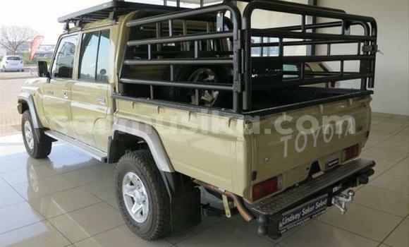 Acheter Occasion Voiture Toyota Land Cruiser Marron à Beitbridge, Matabeleland South Acheter Occasion Voiture Toyota Land Cruiser Marron à Beitbridge, Matabeleland South