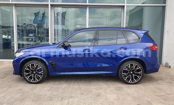 Acheter Occasion Voiture BMW X5 Bleu à Beitbridge, Matabeleland South