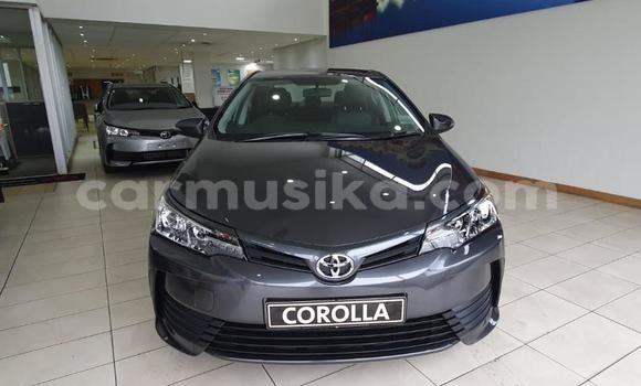 Acheter Occasion Voiture Toyota Corolla Gris à Beitbridge, Matabeleland South Acheter Occasion Voiture Toyota Corolla Gris à Beitbridge, Matabeleland South