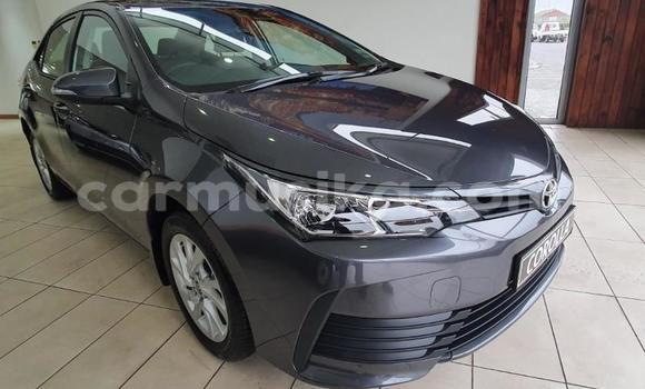 Acheter Occasion Voiture Toyota Corolla Gris à Beitbridge, Matabeleland South Acheter Occasion Voiture Toyota Corolla Gris à Beitbridge, Matabeleland South