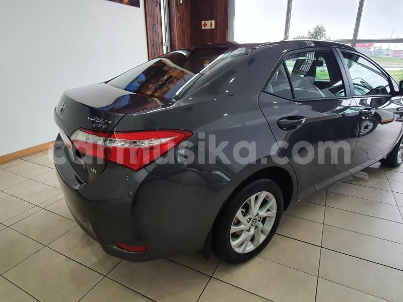 Big with watermark toyota corolla matabeleland south beitbridge 27582