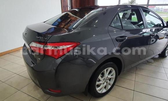 Acheter Occasion Voiture Toyota Corolla Gris à Beitbridge, Matabeleland South Acheter Occasion Voiture Toyota Corolla Gris à Beitbridge, Matabeleland South