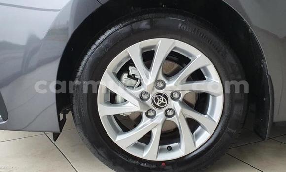 Acheter Occasion Voiture Toyota Corolla Gris à Beitbridge, Matabeleland South Acheter Occasion Voiture Toyota Corolla Gris à Beitbridge, Matabeleland South