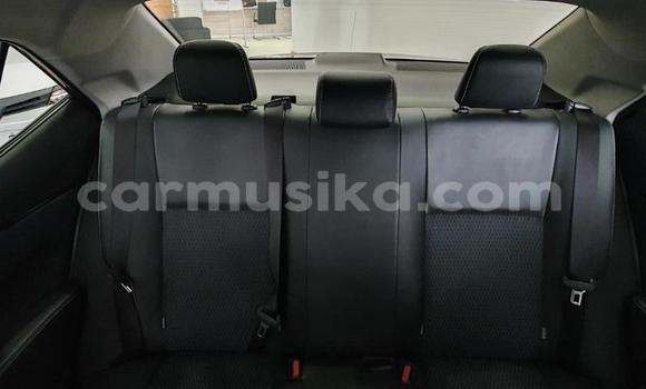 Acheter Occasion Voiture Toyota Corolla Gris à Beitbridge, Matabeleland South Acheter Occasion Voiture Toyota Corolla Gris à Beitbridge, Matabeleland South