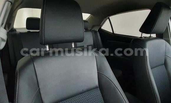 Acheter Occasion Voiture Toyota Corolla Gris à Beitbridge, Matabeleland South Acheter Occasion Voiture Toyota Corolla Gris à Beitbridge, Matabeleland South