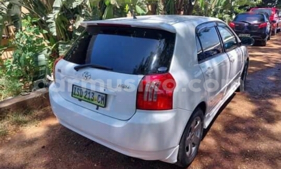 Buy Used Toyota Runx White Car in Beitbridge in Matabeleland South Buy Used Toyota Runx White Car in Beitbridge in Matabeleland South