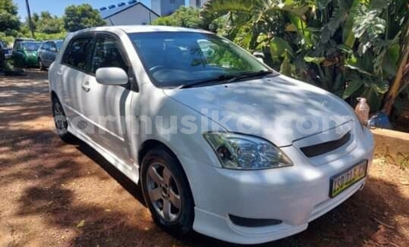 Buy Used Toyota Runx White Car in Beitbridge in Matabeleland South Buy Used Toyota Runx White Car in Beitbridge in Matabeleland South