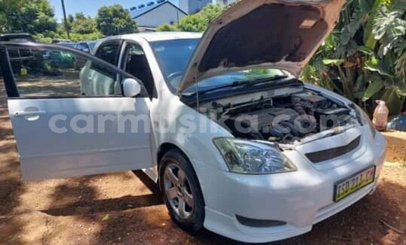 Buy Used Toyota Runx White Car in Beitbridge in Matabeleland South Buy Used Toyota Runx White Car in Beitbridge in Matabeleland South