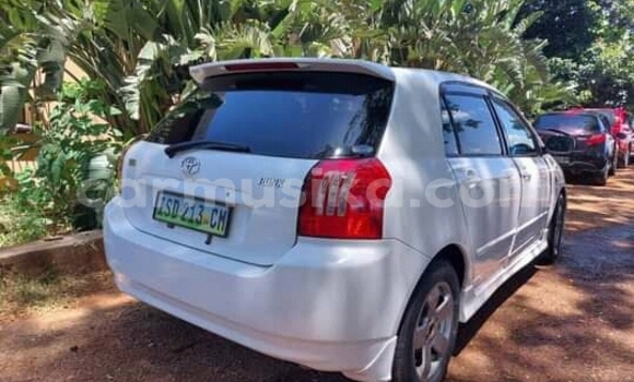 Buy Used Toyota Runx White Car in Beitbridge in Matabeleland South Buy Used Toyota Runx White Car in Beitbridge in Matabeleland South