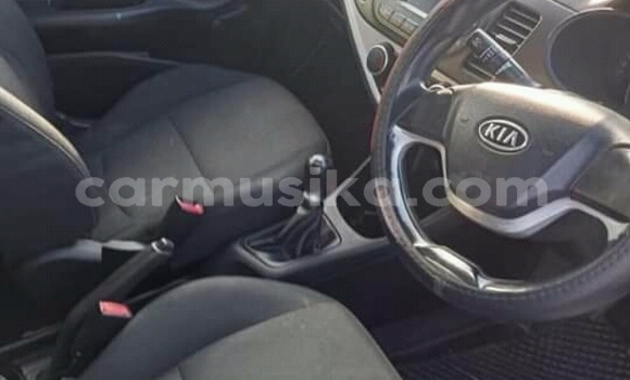 Buy Used Kia Picanto White Car in Beitbridge in Matabeleland South