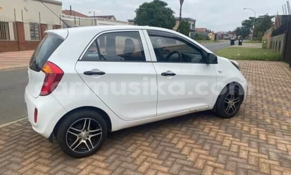 Buy Used Kia Picanto White Car in Beitbridge in Matabeleland South Buy Used Kia Picanto White Car in Beitbridge in Matabeleland South
