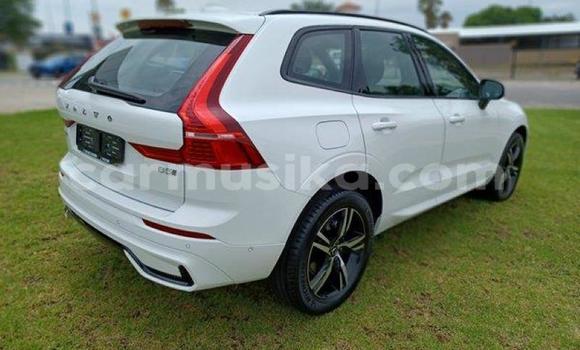 Buy Used Volvo XC60 White Car in Beitbridge in Matabeleland South