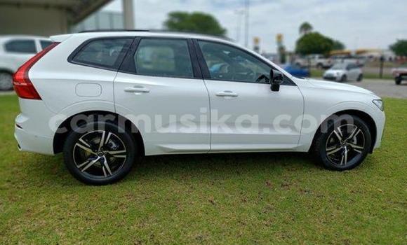 Tenga Tsaru Volvo XC60 Chena Mota in Beitbridge in Matabeleland South Tenga Tsaru Volvo XC60 Chena Mota in Beitbridge in Matabeleland South