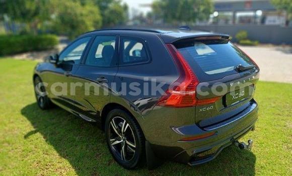 Buy Used Volvo XC60 Black Car in Beitbridge in Matabeleland South Buy Used Volvo XC60 Black Car in Beitbridge in Matabeleland South