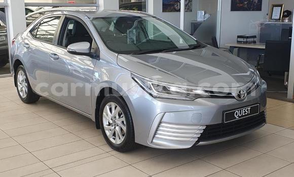 Acheter Occasion Voiture Toyota Corolla Gris à Beitbridge, Matabeleland South