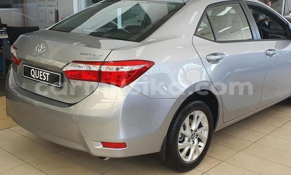 Buy Used Toyota Corolla Silver Car in Beitbridge in Matabeleland South Buy Used Toyota Corolla Silver Car in Beitbridge in Matabeleland South