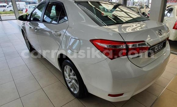 Buy Used Toyota Corolla White Car in Beitbridge in Matabeleland South
