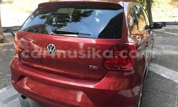 Nunua Ilio tumika Volkswagen Polo Nyekundu Gari ndani ya Beitbridge nchini Matabeleland Kusini Nunua Ilio tumika Volkswagen Polo Nyekundu Gari ndani ya Beitbridge nchini Matabeleland Kusini