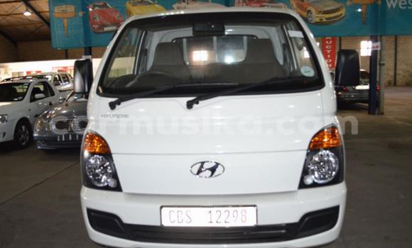 Tenga Tsaru Hyundai H1 Chena Mota in Beitbridge in Matabeleland South