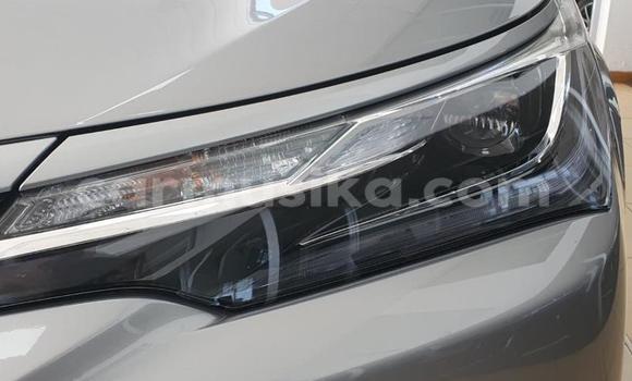 Tenga Tsaru Toyota Corolla Zvimwe Mota in Beitbridge in Matabeleland South Tenga Tsaru Toyota Corolla Zvimwe Mota in Beitbridge in Matabeleland South