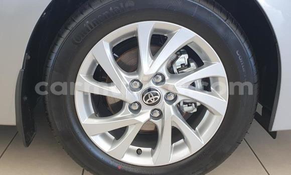 Tenga Tsaru Toyota Corolla Zvimwe Mota in Beitbridge in Matabeleland South Tenga Tsaru Toyota Corolla Zvimwe Mota in Beitbridge in Matabeleland South