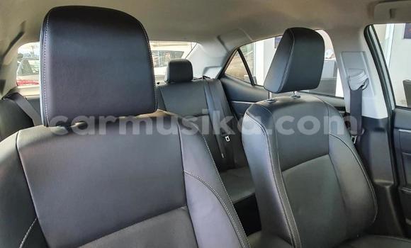 Tenga Tsaru Toyota Corolla Zvimwe Mota in Beitbridge in Matabeleland South Tenga Tsaru Toyota Corolla Zvimwe Mota in Beitbridge in Matabeleland South