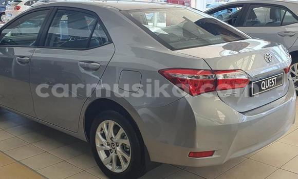 Tenga Tsaru Toyota Corolla Zvimwe Mota in Beitbridge in Matabeleland South Tenga Tsaru Toyota Corolla Zvimwe Mota in Beitbridge in Matabeleland South