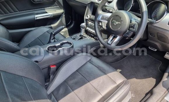 Buy Used Ford Mustang Silver Car in Borrowdale in Harare Buy Used Ford Mustang Silver Car in Borrowdale in Harare