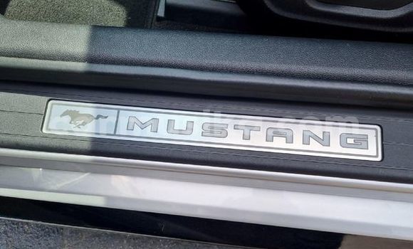 Buy Used Ford Mustang Silver Car in Borrowdale in Harare Buy Used Ford Mustang Silver Car in Borrowdale in Harare