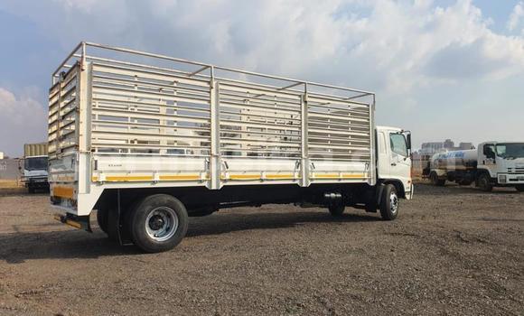 Buy Used Hino Ranger White Truck in Belvedere in Harare Buy Used Hino Ranger White Truck in Belvedere in Harare