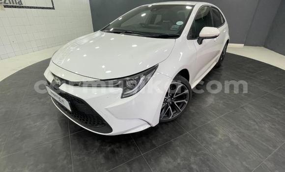 Buy Used Toyota Corolla White Car in Beitbridge in Matabeleland South