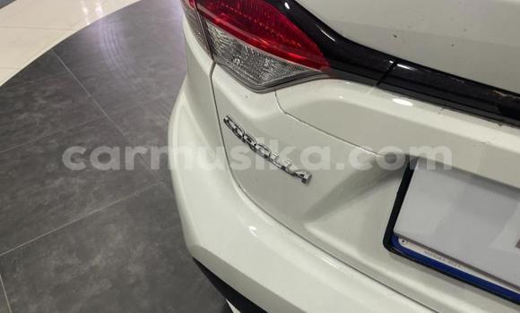 Buy Used Toyota Corolla White Car in Beitbridge in Matabeleland South Buy Used Toyota Corolla White Car in Beitbridge in Matabeleland South